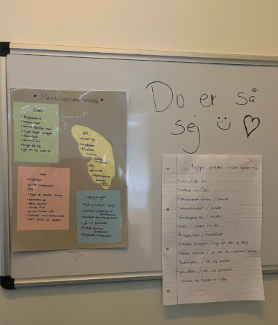 Tema, børn og psykisk sygdom, Natasja, Mestringsplan