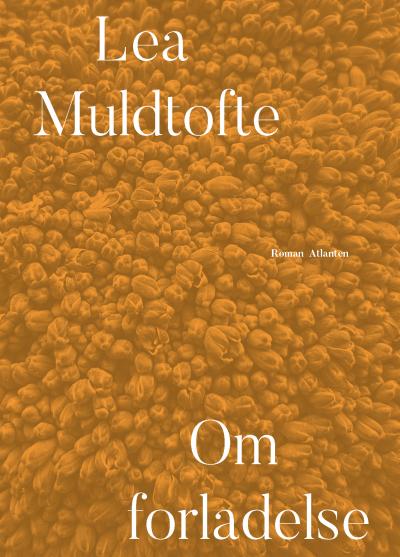 Lea Muldtofte, Om forladelse, debutroman, Forlaget Atlanten