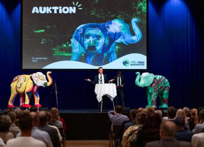 Find elefanten, auktion, Auktionarius Peter Beck, Bruun Rasmussens Kunstauktioner, styrede hammeren og slaget, der endte med 1,7 millioner kroner til mennesker med psykisk sygdom gennem Psykiatrifondens arbejde.