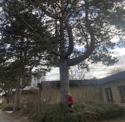 Agnete Holbak, til artiklen 'Når børn lider, gør det ondt på hele familien'