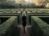 Labyrint, til temaet 'Tabt i systemet'