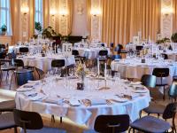 Moltkes Palæ - den store festsal 