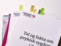 Rapporter