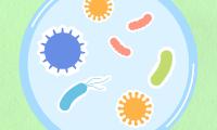 Bakterier på celleniveau