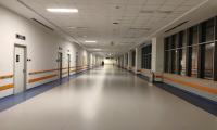 Hospital, til artikel om Kristine