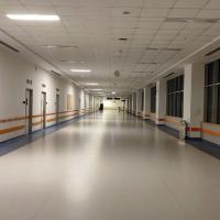 Hospital, til artikel om Kristine