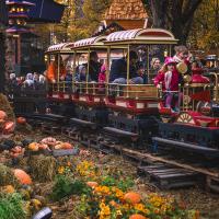 Tivoli. det lille spøgelsestog, til artiklen 'Et ledsagekort gælder også til psykiske lidelser'