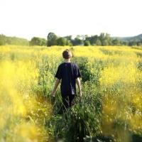 Billede til diagnoseside om personlighedsforstyrrelser